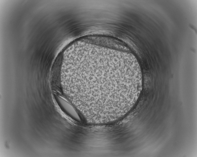 X0000097781038200803281657