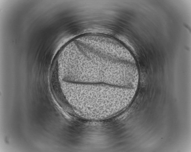 X0000097781040200803281657