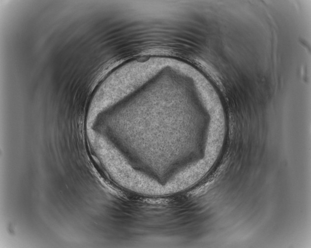 X0000097781041200803281657