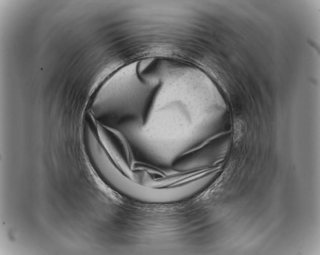 X0000097781042200803281657