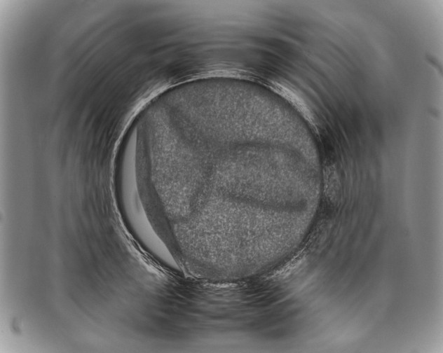 X0000097781043200803281657