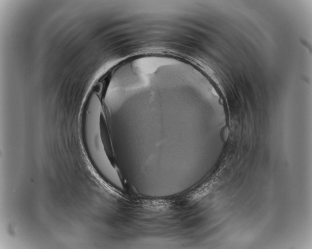 X0000097781045200803281657