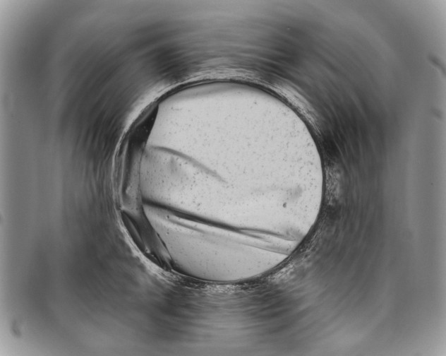 X0000097781046200803281657