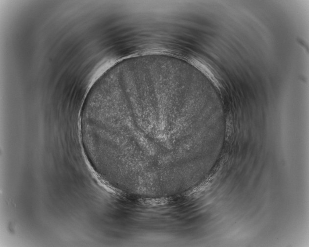 X0000097781047200803281657