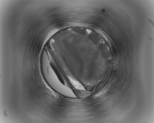 X0000097781048200803281657