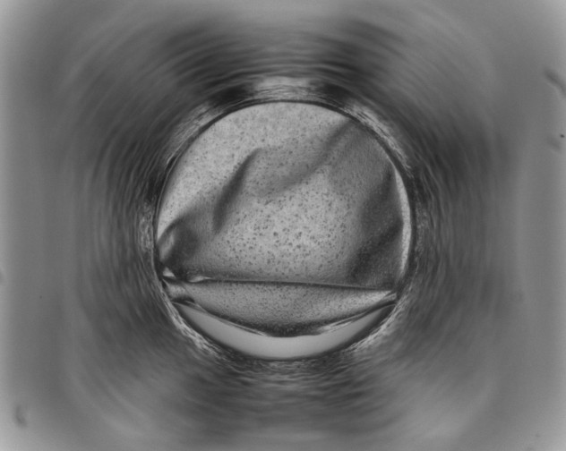 X0000097781049200803281657