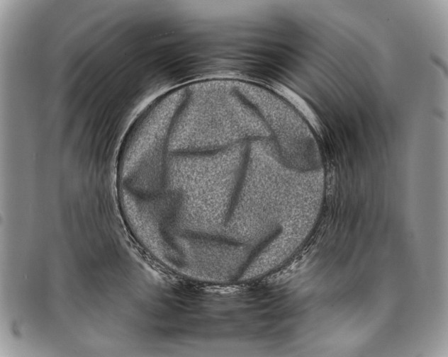 X0000097781051200803281657