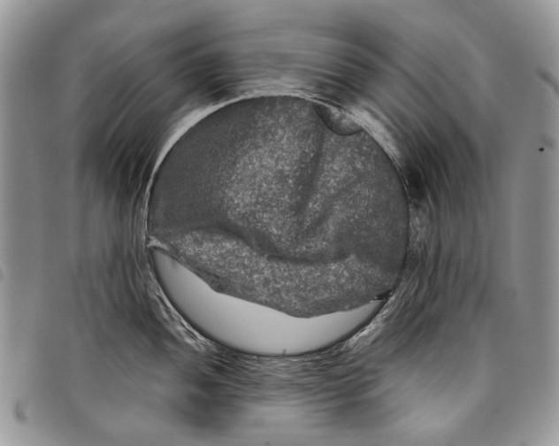 X0000097781052200803281657