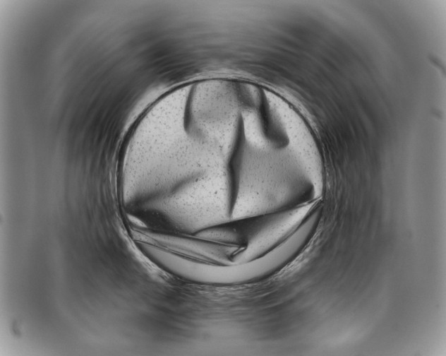 X0000097781054200803281657