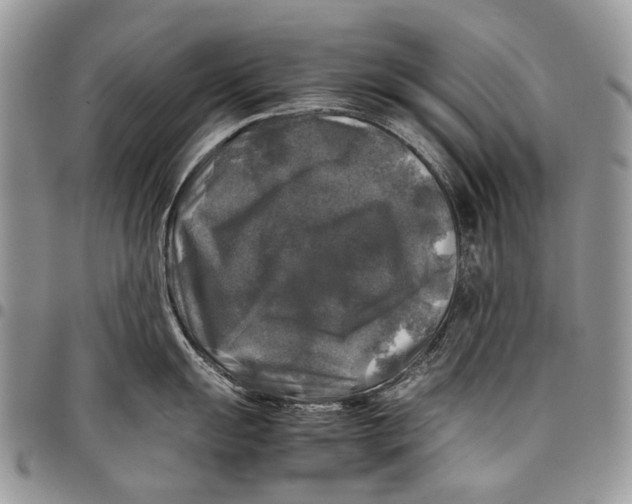 X0000097781055200803281657