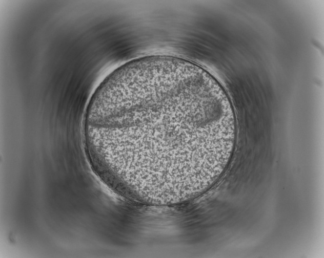 X0000097781056200803281657