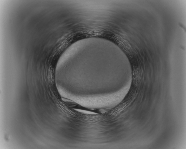 X0000097781058200803281657