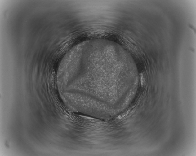 X0000097781059200803281657