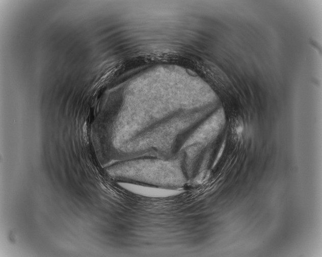 X0000097781060200803281657