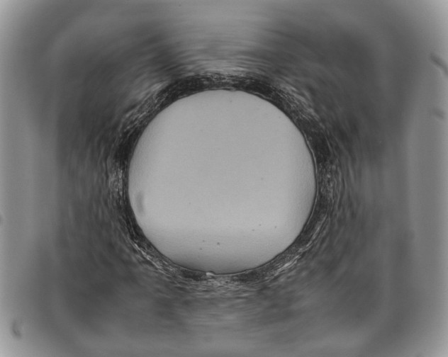 X0000097781061200803281657