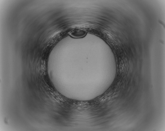 X0000097781062200803281657