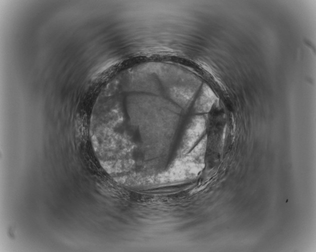 X0000097781063200803281657