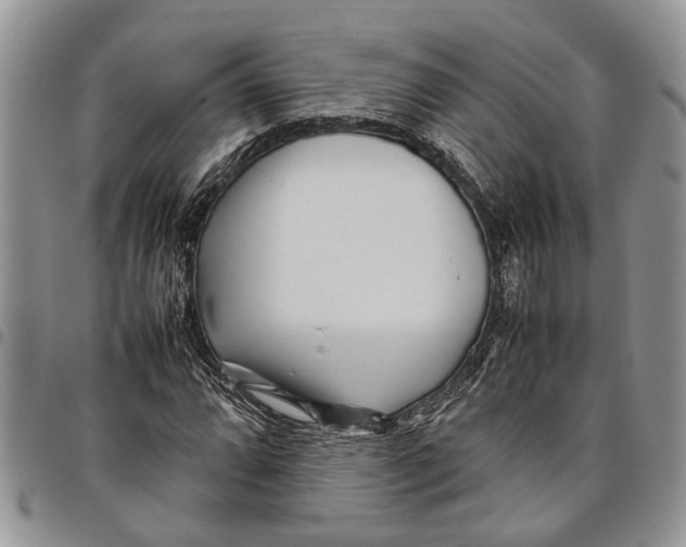 X0000097781064200803281657