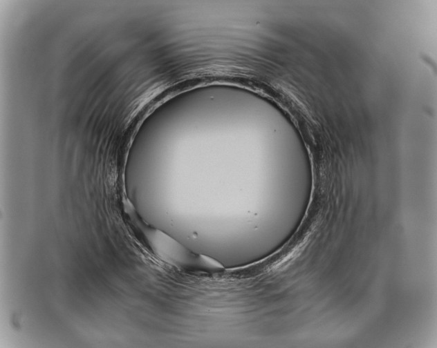 X0000097781065200803281657