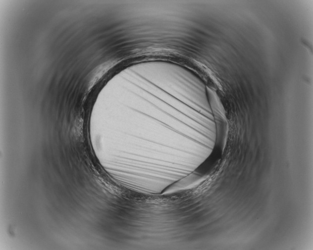 X0000097781066200803281657