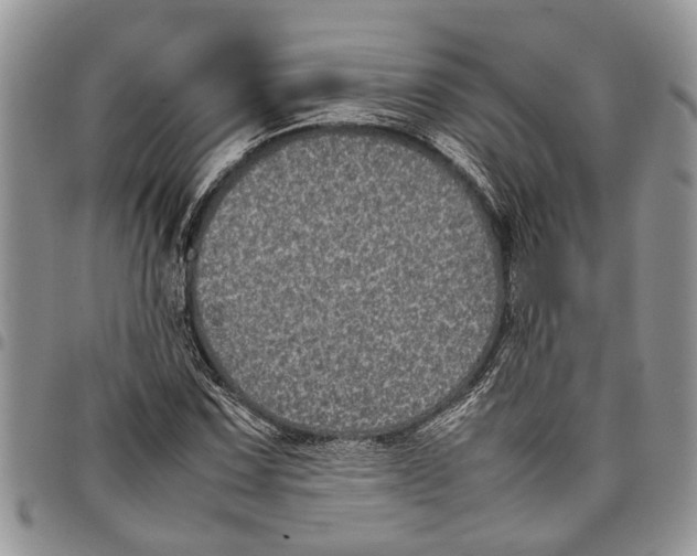 X0000097781067200803281657