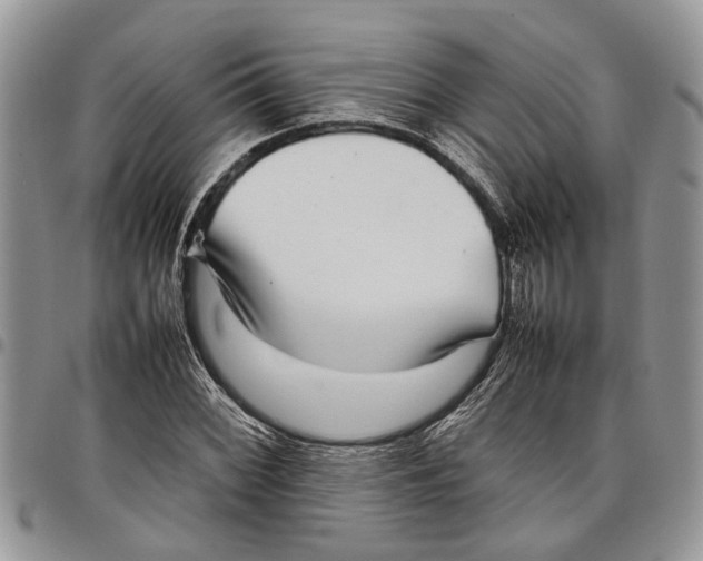 X0000097781068200803281657