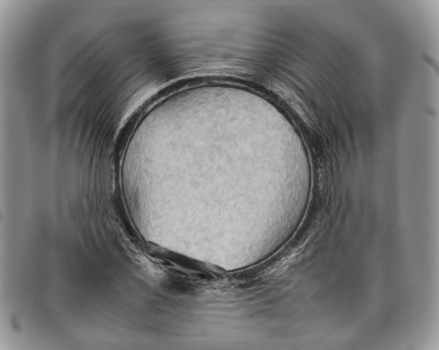 X0000097781069200803281657