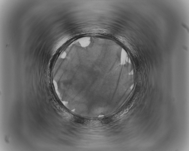 X0000097781071200803281657