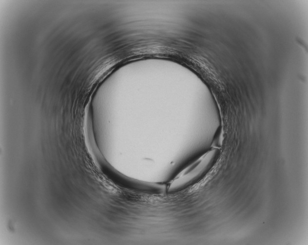 X0000097781073200803281657