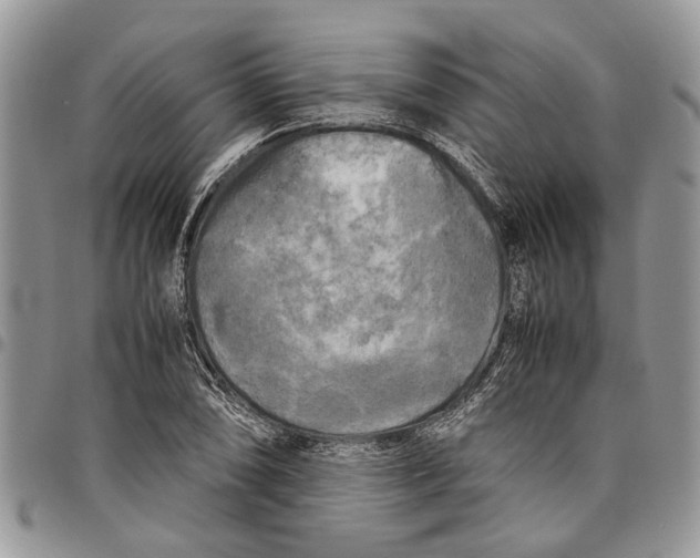 X0000097781074200803281657