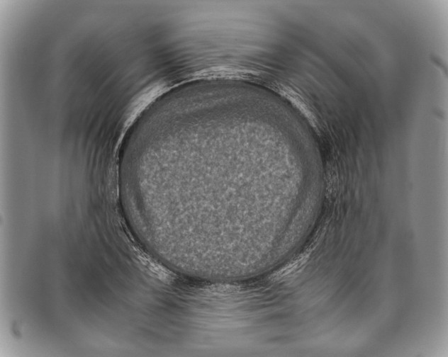 X0000097781075200803281656