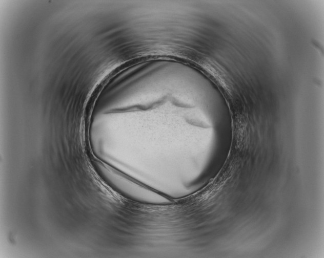 X0000097781076200803281656