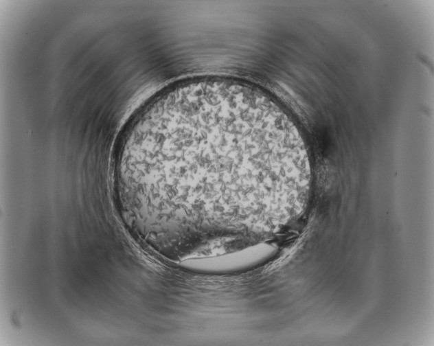 X0000097781077200803281656