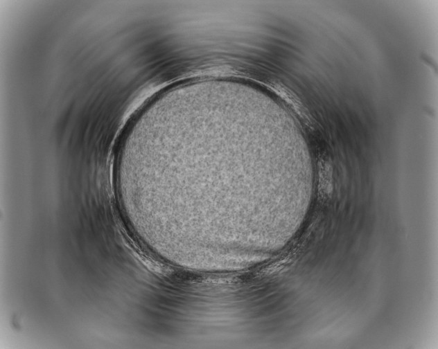 X0000097781078200803281656