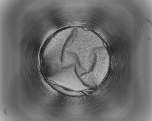 X0000097781080200803281656