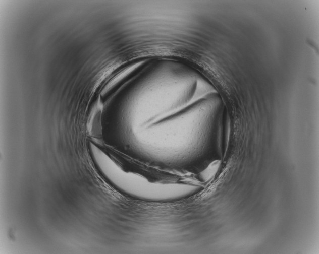 X0000097781081200803281656