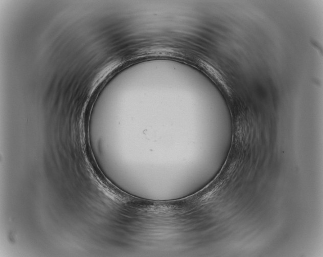 X0000097781082200803281656