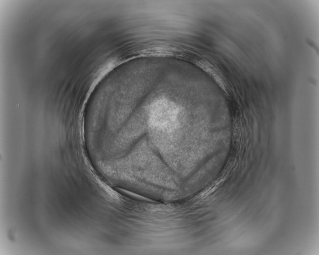 X0000097781083200803281656