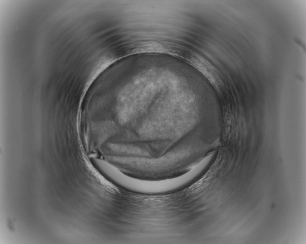 X0000097781084200803281656