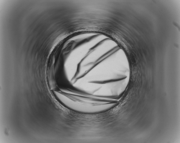 X0000097781085200803281656