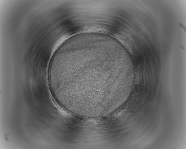 X0000097781086200803281656