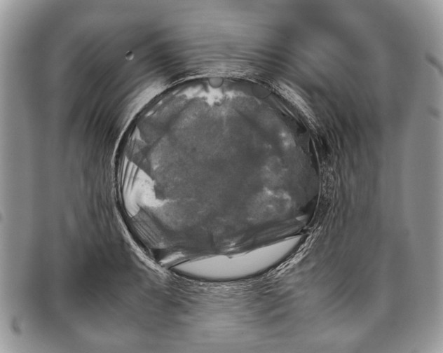 X0000097781087200803281656