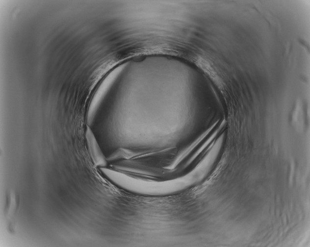 X0000097781089200803281656