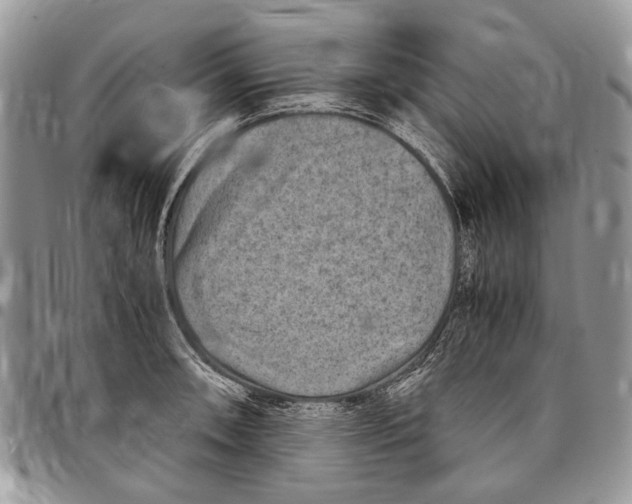 X0000097781090200803281656