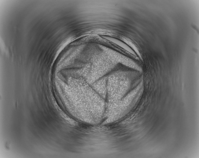 X0000097781091200803281656