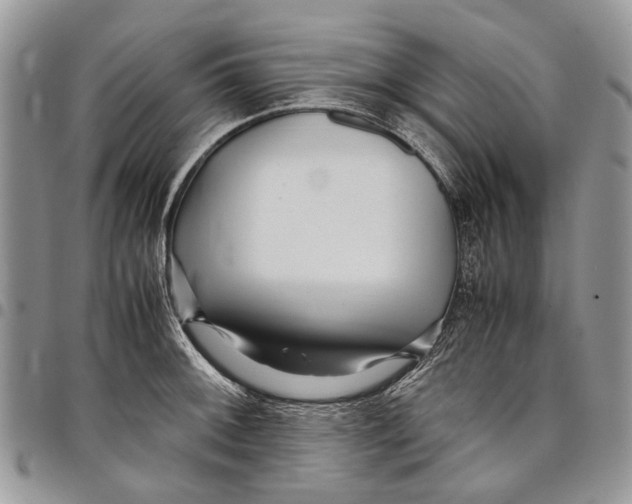 X0000097781092200803281656