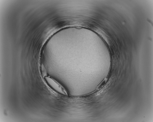 X0000097781093200803281656