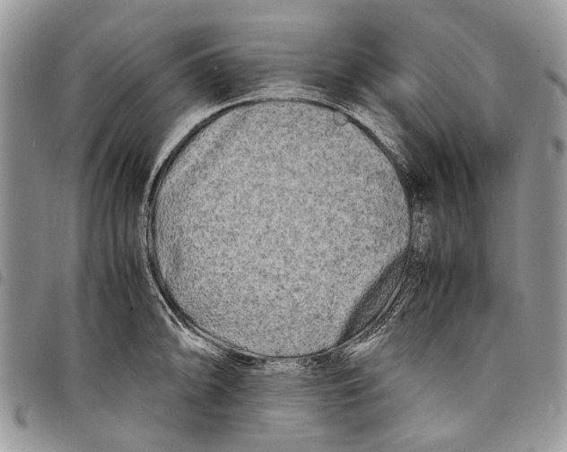 X0000097781094200803281656