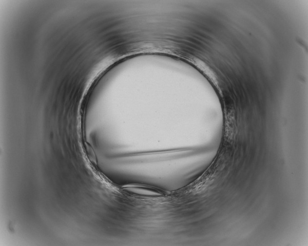 X0000097781096200803281656