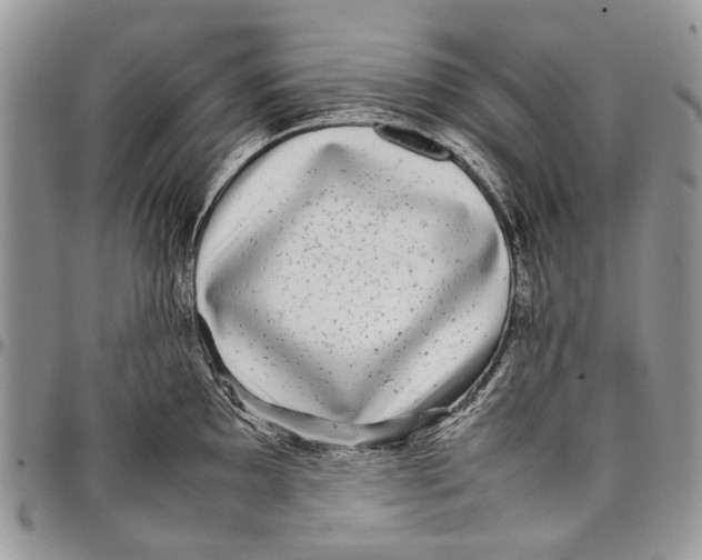 X0000097781097200803281656